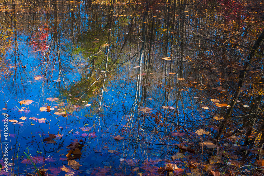 Naklejka premium Fall foliage reflection in lake water
