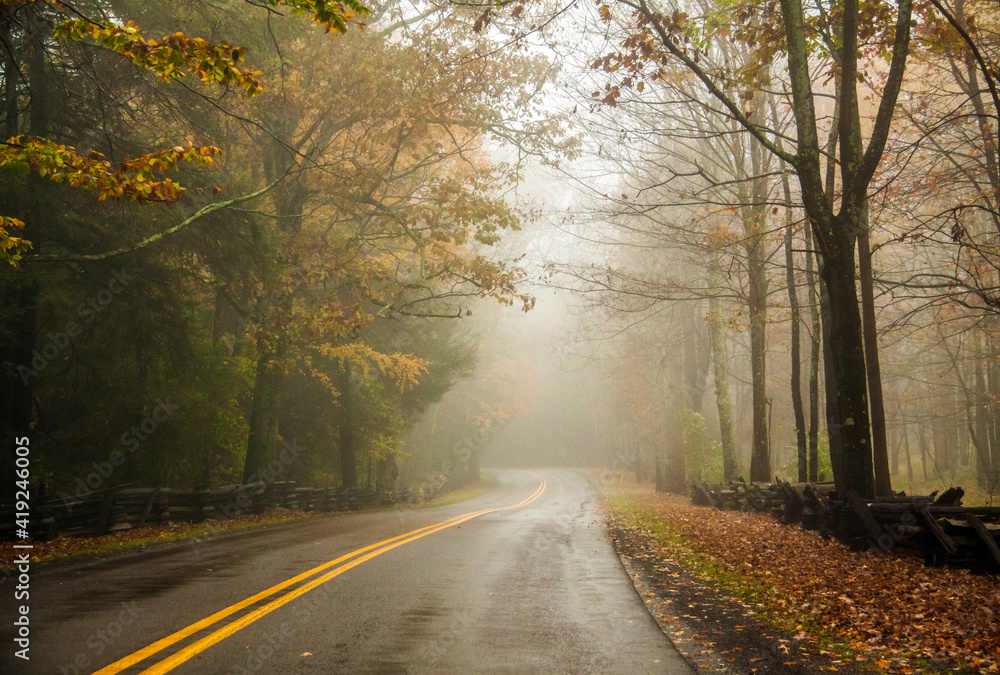 Obraz premium road trip on open road and highway traversing vibrant autumn woods