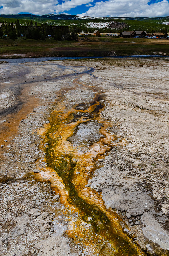 Algae-bacterial mats. Hot thermal spring, hot pool in the Yellowstone NP.