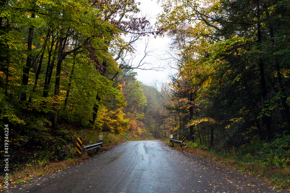Fototapeta premium road trip on open road and highway traversing vibrant autumn woods