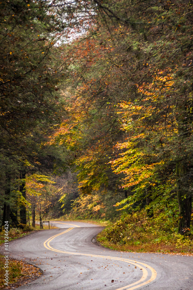 road trip on open road and highway traversing vibrant autumn woods