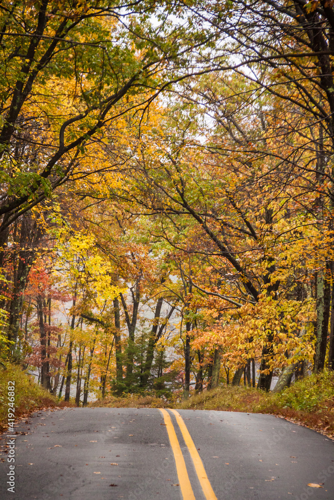 road trip on open road and highway traversing vibrant autumn woods