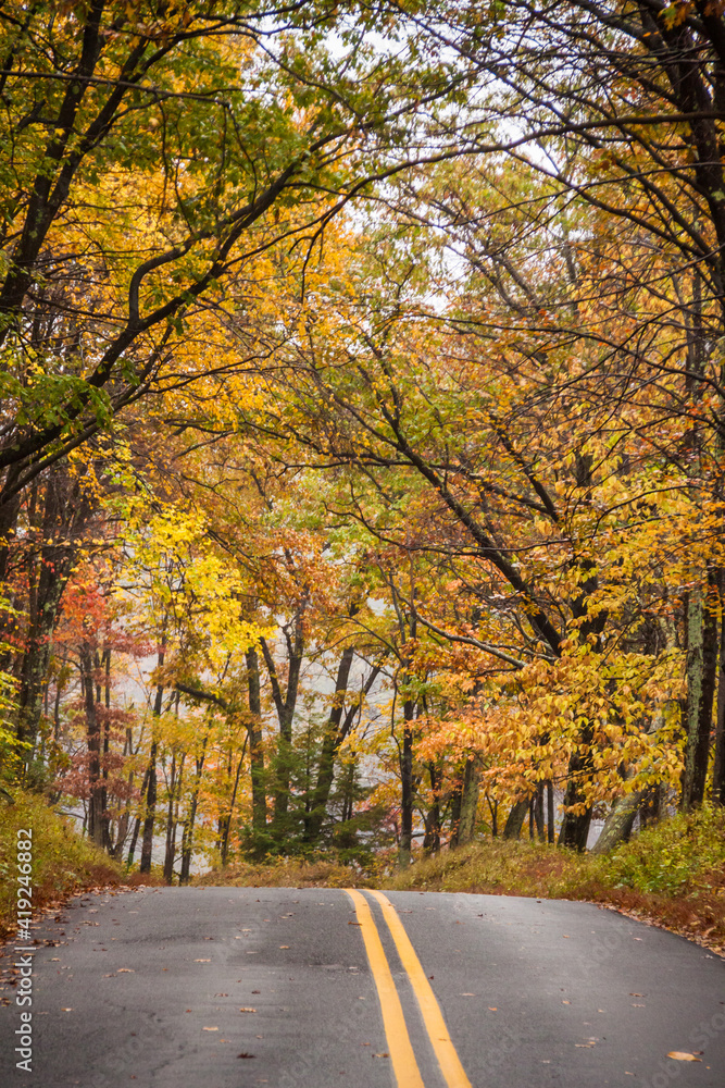 road trip on open road and highway traversing vibrant autumn woods road trip on open road and highway traversing vibrant autumn woods