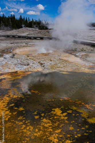 Algae-bacterial mats. Hot thermal spring  hot pool in the Yellowstone NP