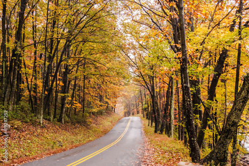 road trip on open road and highway traversing vibrant autumn woods © Nathaniel Gonzales