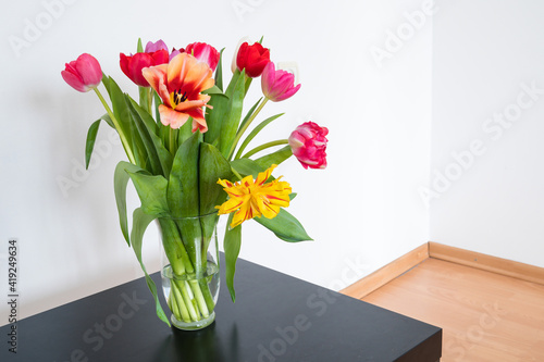 Bouquet of tulips in glass vase on black table. Beautiful spring flowers. White wall. Home decor. © Anastasia