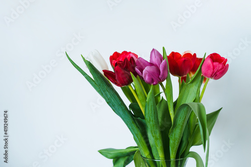 Fototapeta Naklejka Na Ścianę i Meble -  Bouquet of red, pink, purple and whte tulips in glass vase. White wall. Beautiful spring flowers.