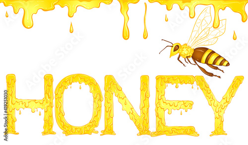 Lettering dripping word Honey yellow color with drips and bee. Vector illustration isolated on white background. Font design in hand drawn style. Words for print, posters, books, icon, stickers.