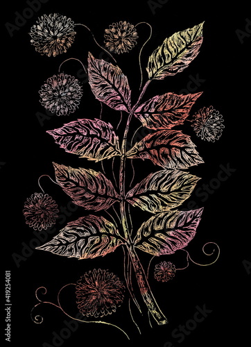 Autumn twig drawing in grattage technique - Hand painted scratch art isolated on black background