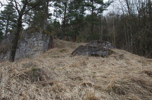 Hitlers ruinen im Wald photo