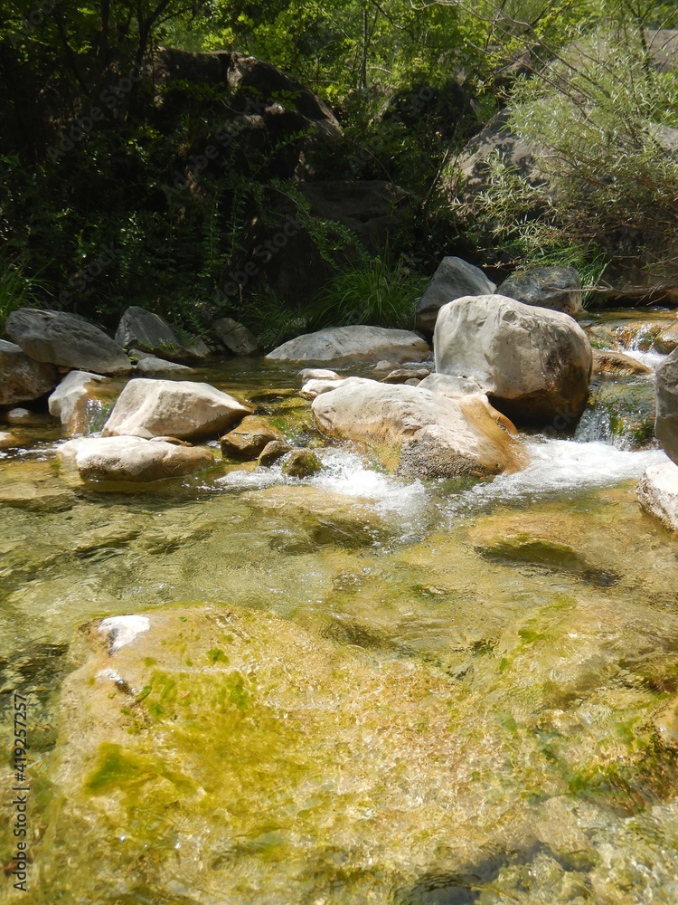 Creek near Rocchetta Nervina, Liguria - Italy
