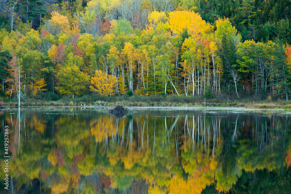 USA, Maine. Reflections at Beaver Dam Pond in Acadia National Park.