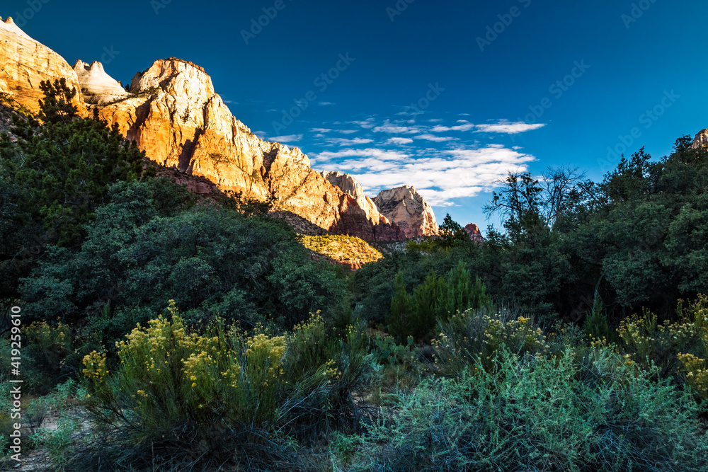 Fototapeta premium dramatic landscape photo of canyons, cliffs, rivers in Zion national Park in Utah.