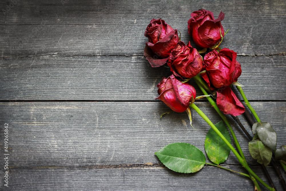 Dried red roses on wooden background