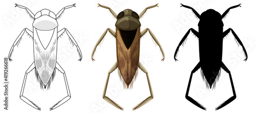 Set of backswimmer beetle in three style