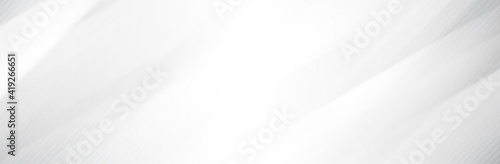 Abstract White Gray background. Blur neutral backdrop. Lecture, seminar, symposium, workshop, conference or briefing presentation template. White vector illustration