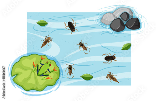 Top view of aquatic insects in the pond