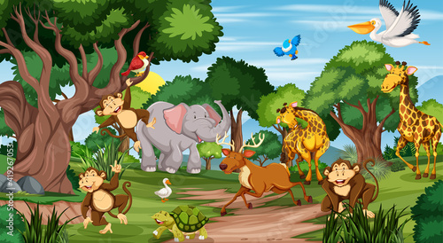 Wild animals in the jungle