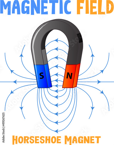 Magnetic field of horseshoe magnet