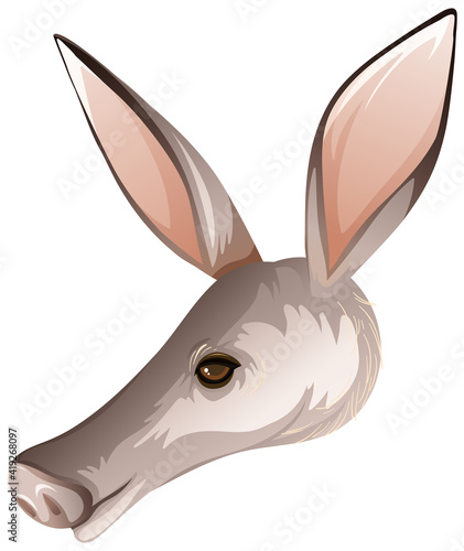 Aardvark Africa native animal head on white background