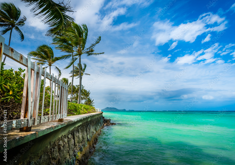 Obraz premium Lanikai beach with palms blowing in the breeze.