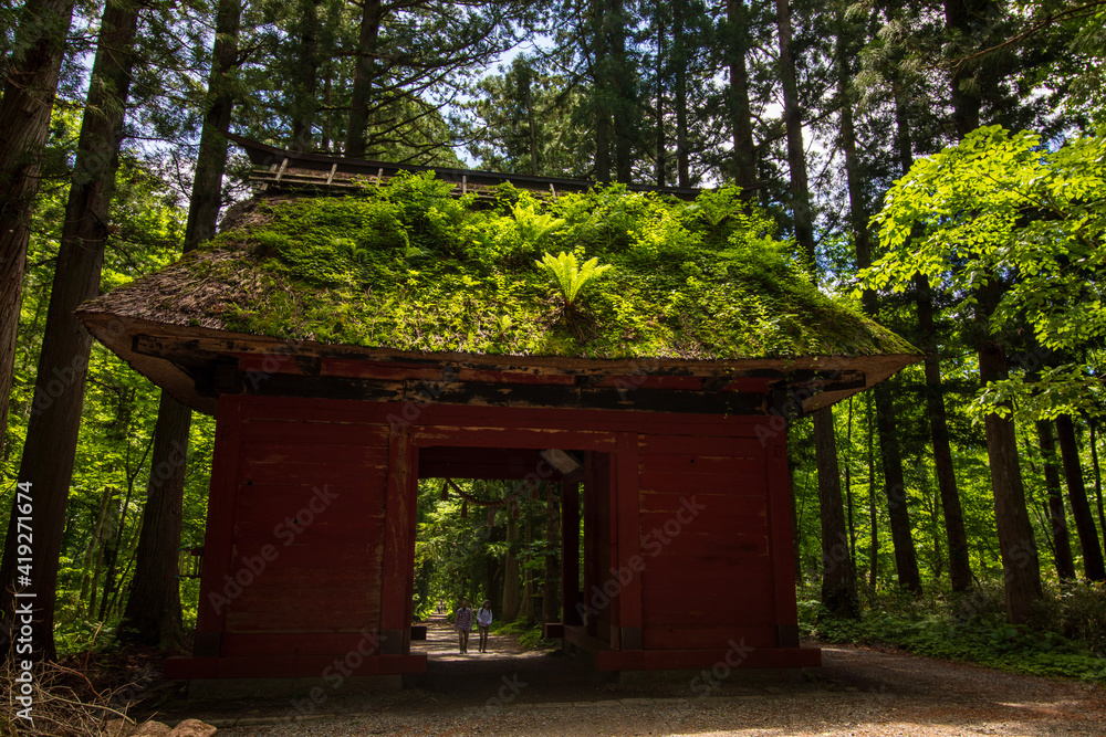 entrance to the house