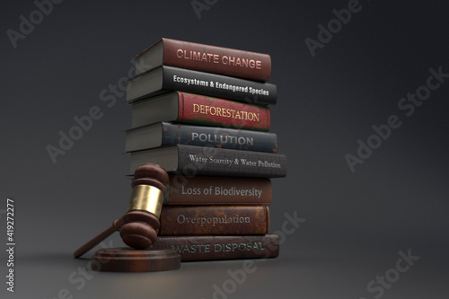 Environmental legislation textbooks next to gavel photo