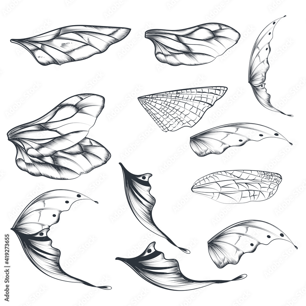 Collection of vector light wings for design