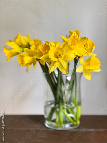 Closeup of a bouquet of yellow daffodil flowers in a glass vase set against a light gray background.