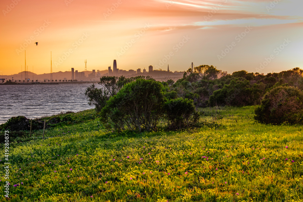 Bay Area of ocean with sunset skyline with shadow of the San Francisco city
