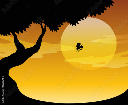 Outdoor nature silhouette sunset scene