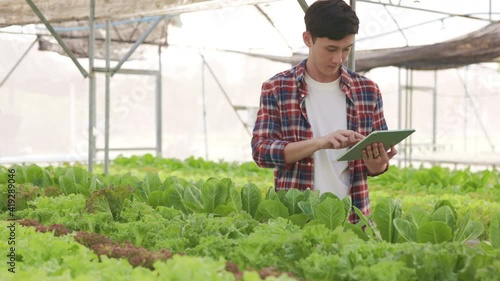 Smart farm and farm technology concept.Smart young asian farmer  using tablet to check quality and quantity of organic hydroponic vegetable garden at greenhouse .