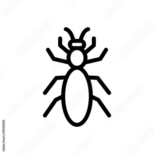 insect