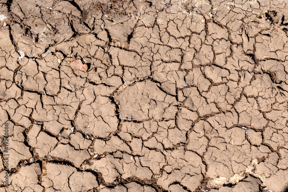 dry cracked earth dry cracked earth
