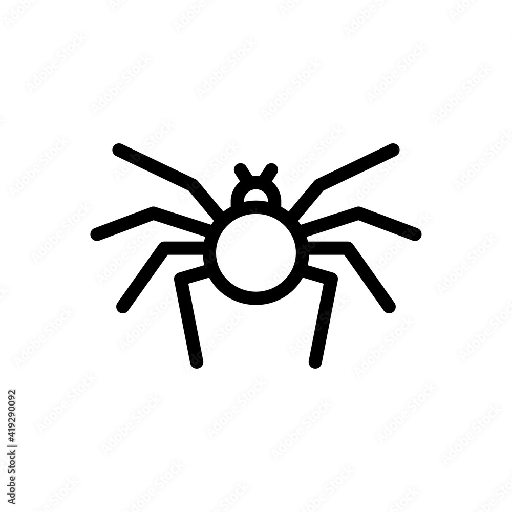 insect insect