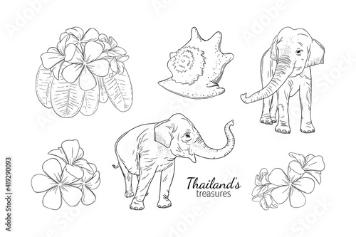 Fototapeta Naklejka Na Ścianę i Meble -  Thailand summer and sea treasures like elephants, seashell, and frangipani. Set of Asian thai symbols. Engraved vector illustration isolated on white background