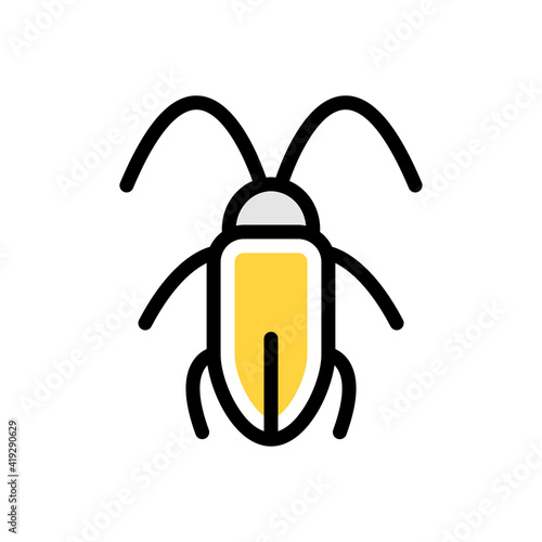 cockroach
