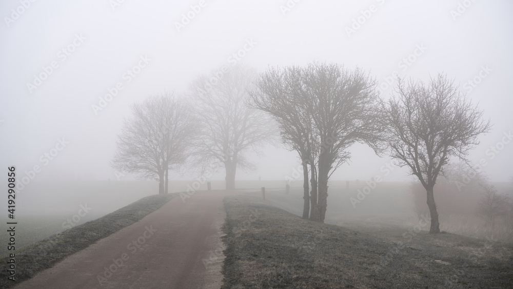 Fog landscape with trees on the roadside of a village street in Germany in winter Fog landscape with trees on the roadside of a village street in Germany in winter