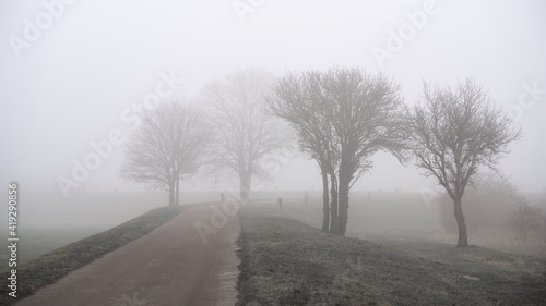 Fog landscape with trees on the roadside of a village street in Germany in winter 