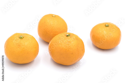 Tangerine photography