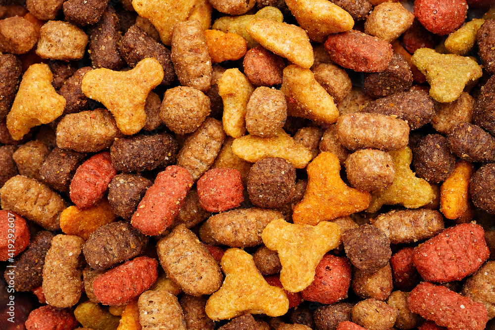 macro of pet dry food background macro of pet dry food background