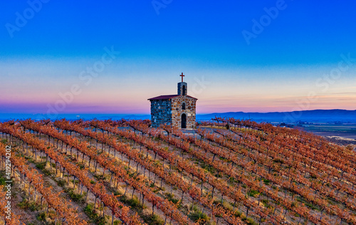 vineyard at sunset
