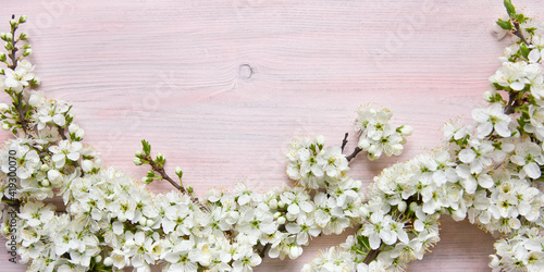 Spring flowers on wooden table background. Plum blossom. Top view