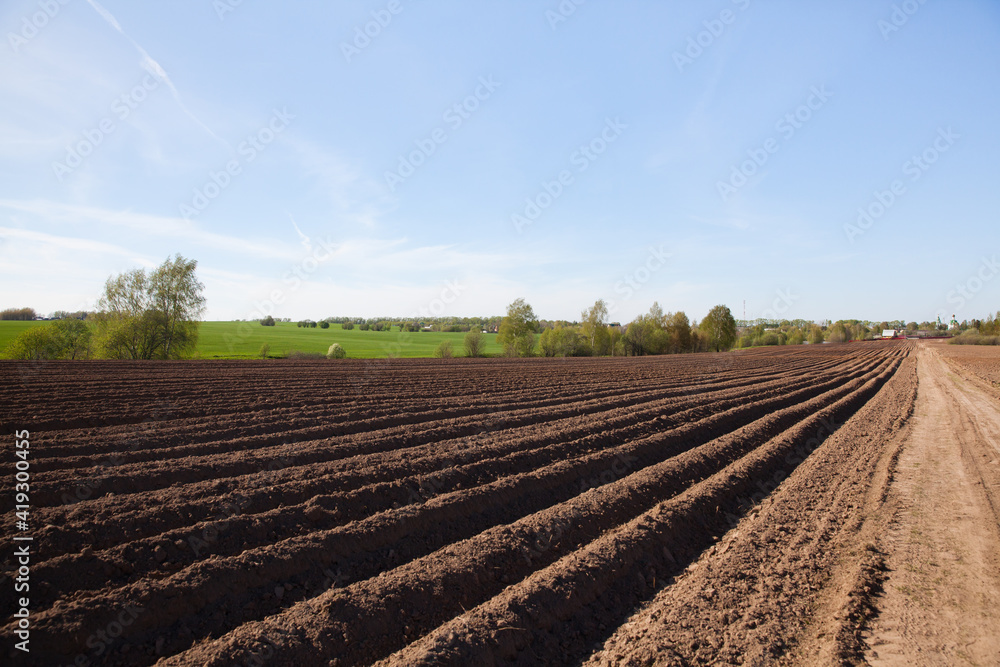 Furrows on a plowed field. Agricultural fields in Russia.
