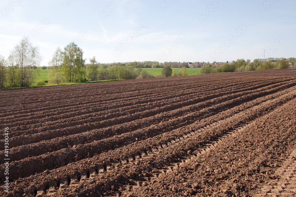 Furrows on a plowed field. Agricultural fields in Russia.