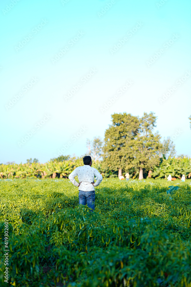 Young indian man at Fresh green chilli agriculture field Young indian man at Fresh green chilli agriculture field