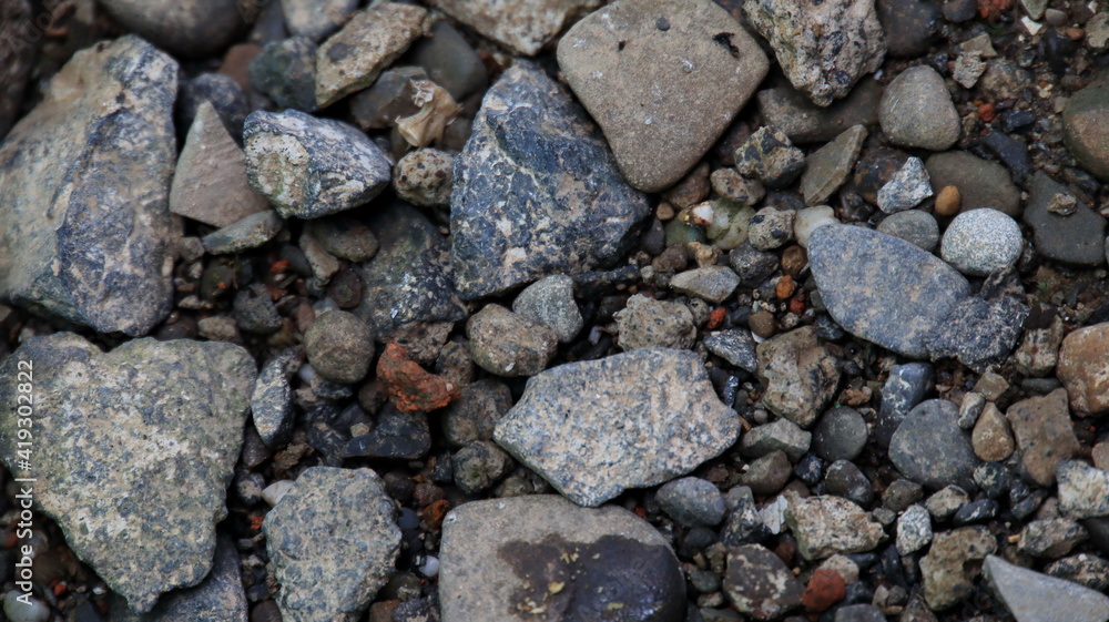 rock shards on the ground in the yard, not focus and noise image rock shards on the ground in the yard, not focus and noise image