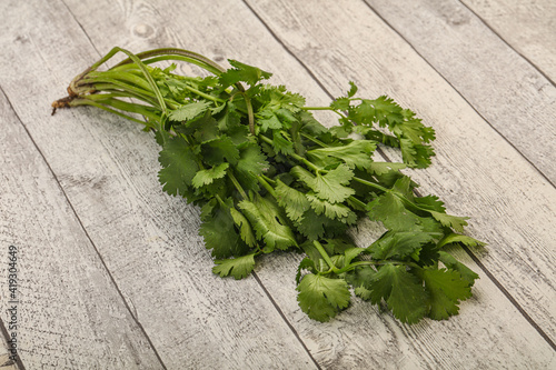 Green coriander or cilanto leaves heap photo