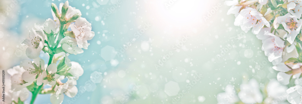 Naklejka premium Spring-summer background - blooming apple tree, white flowers with delicate petals, frame for design. Abstract natural background.