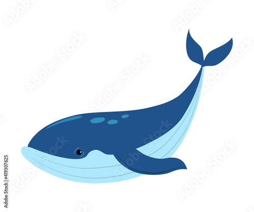 Whale as Sea Animal Floating Underwater Vector Illustration